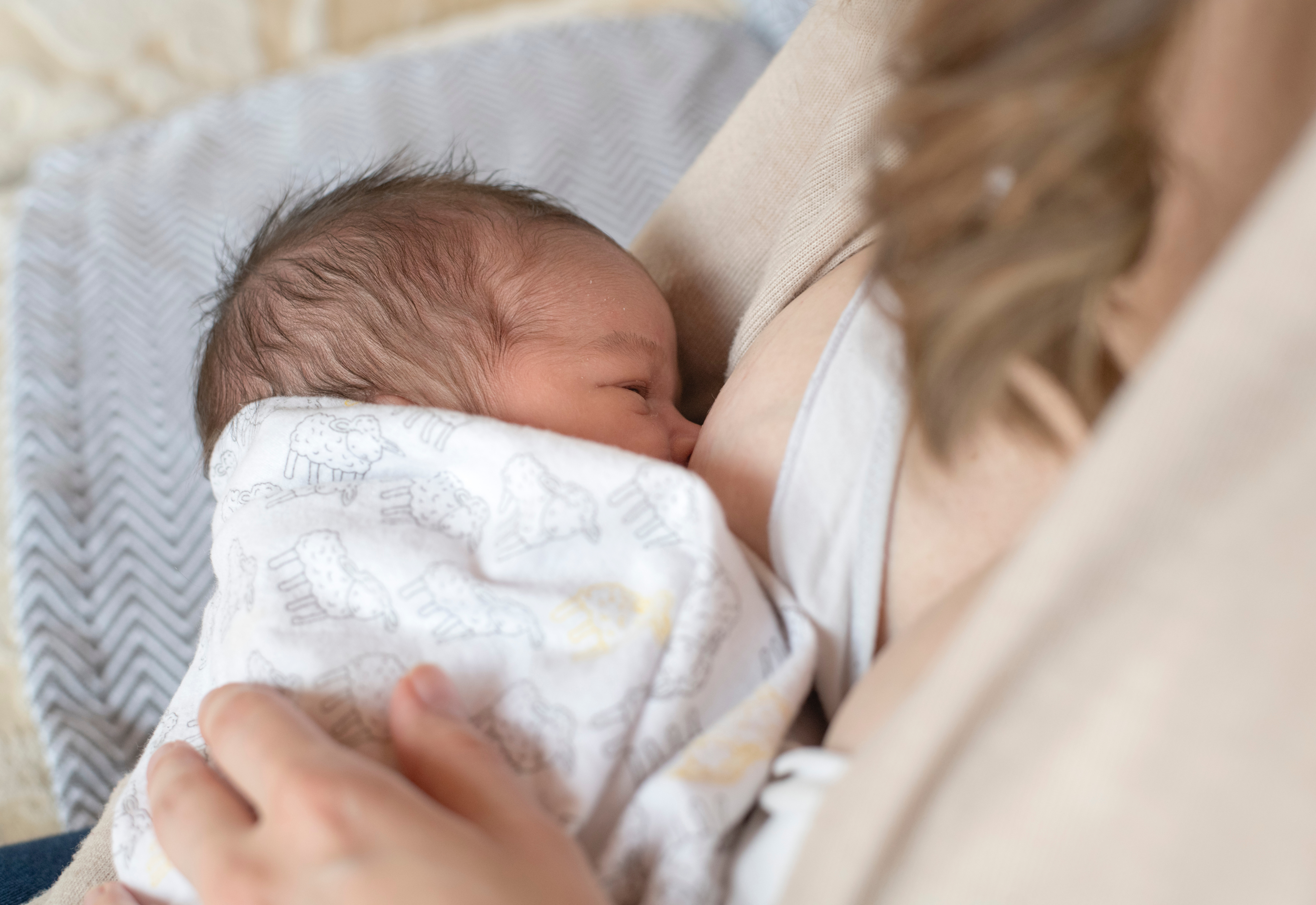 Placenta Encapsulation