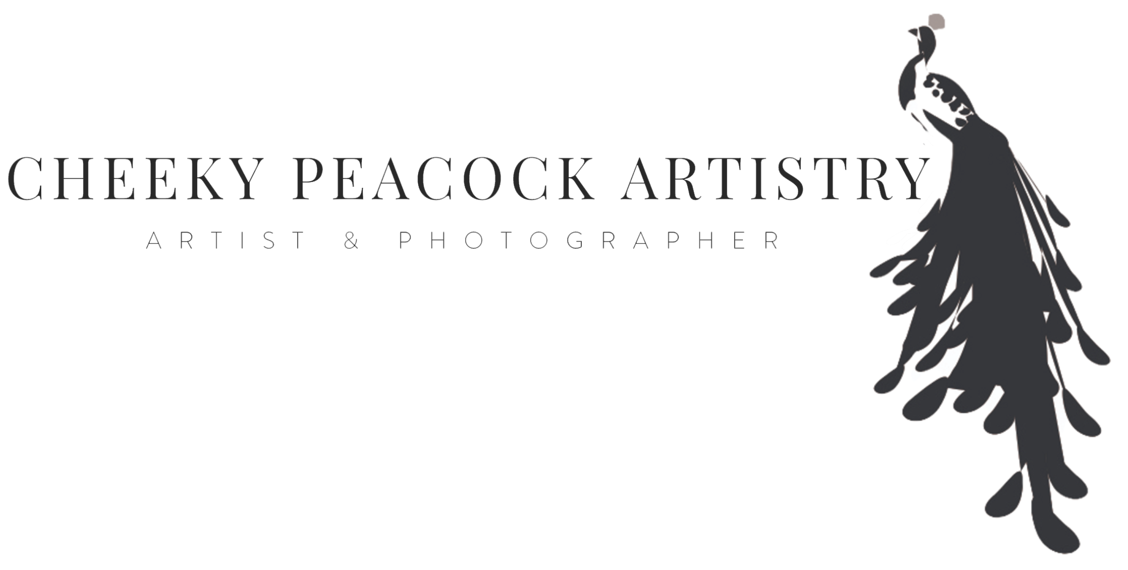 best birth doula in chicago