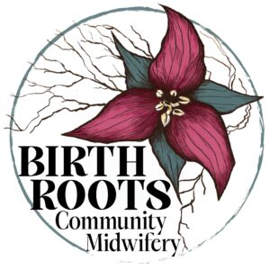 newborn care chicago