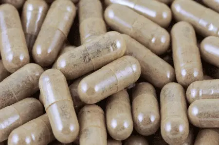 placenta encapsulation Chicago Family Doulas